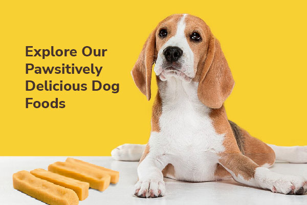 Explore our Pawsitively delicious dog foods